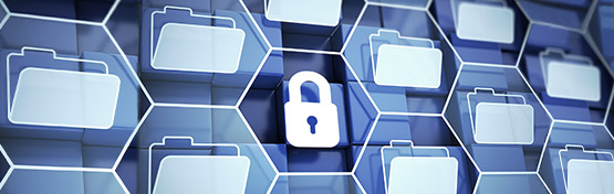 03a-digital-forensics-555x176.jpg